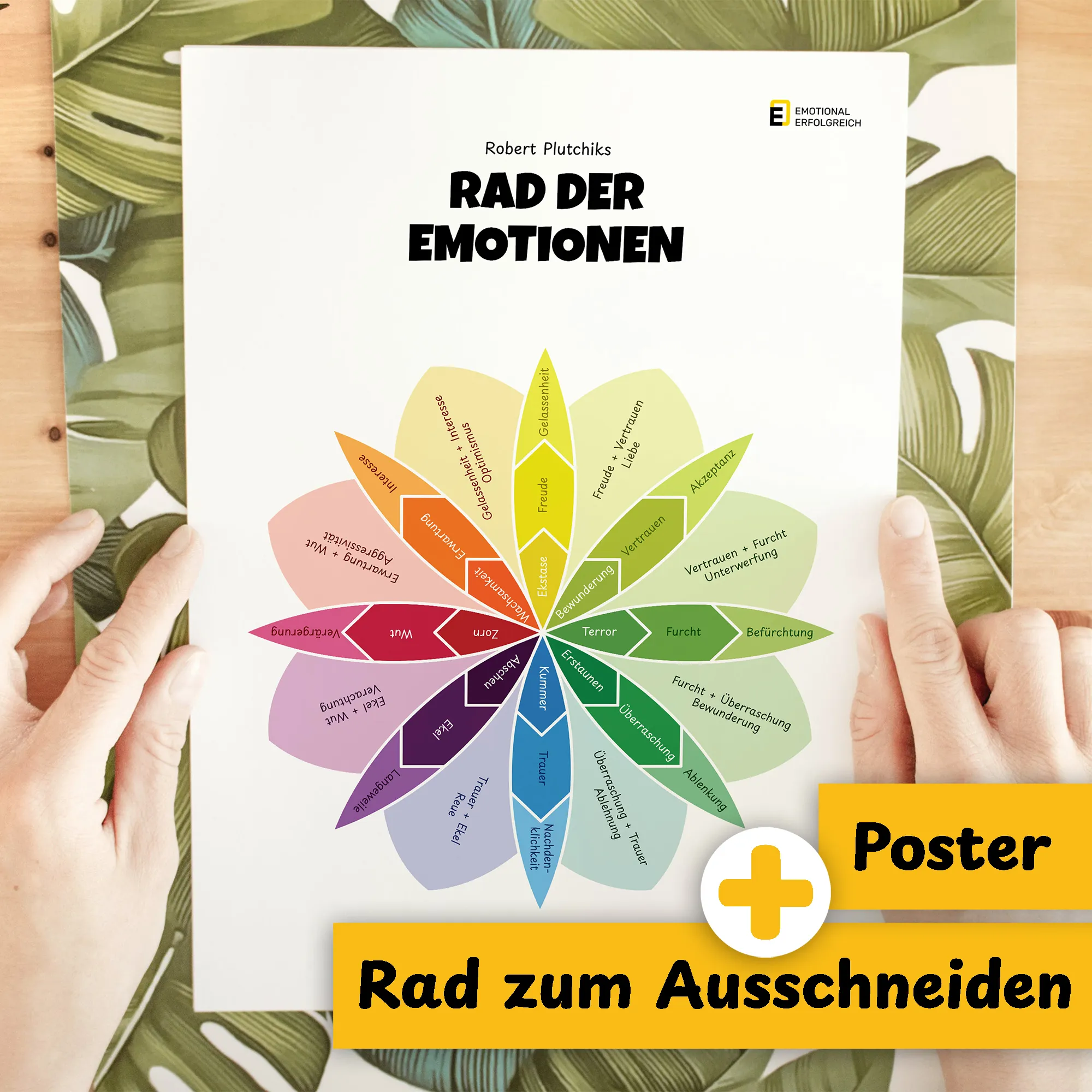 Rad der Emotionen