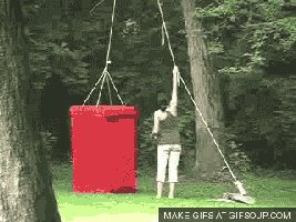 GIF-Beispiel 1 für Freude