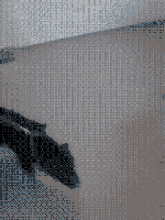 GIF-Beispiel 2 für Freude