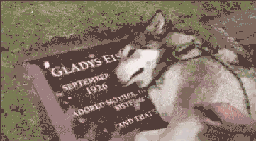 GIF-Beispiel 1 für Trauer