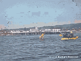 GIF-Beispiel 1 für Überraschung